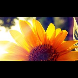 Meet your Posher, Leydi